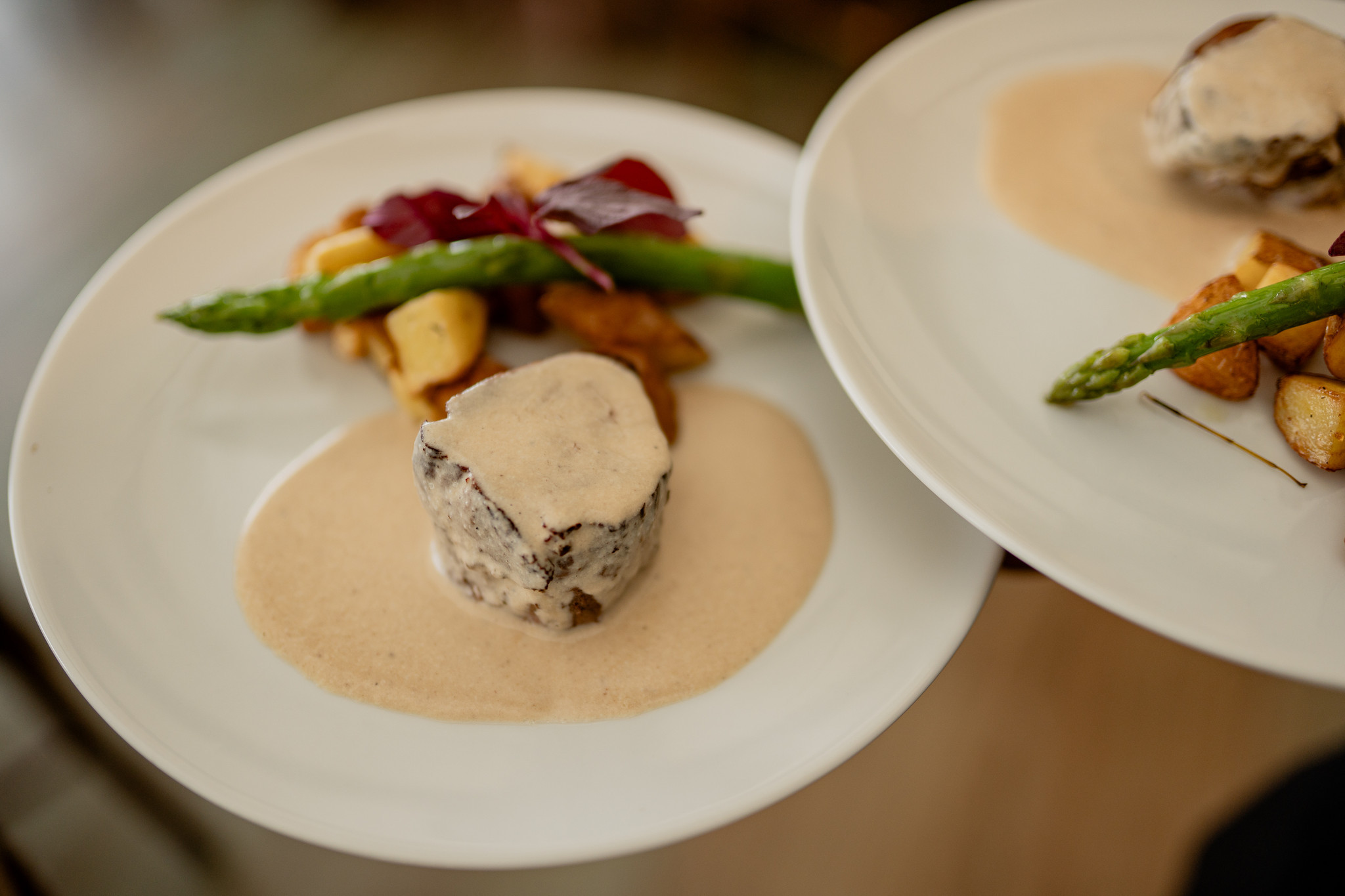 GALERIA MARCOS MESQUITA -169.jpg